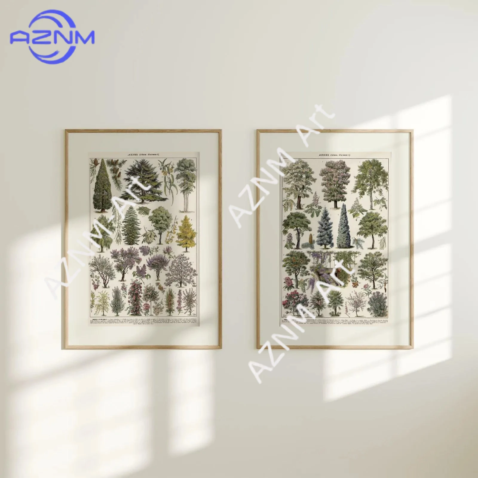 

1/2Pcs Pierre Larousse Tree Prints | Two Vintage Botanical Wall Art Posters, Plant Species Illustration, Educational Book Chart