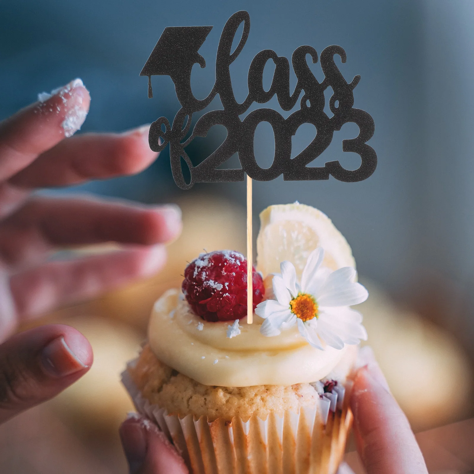

6 Pcs Cake Insert Graduation Cupcake Picks Ornaments Toppers Graduate Congrats Hat