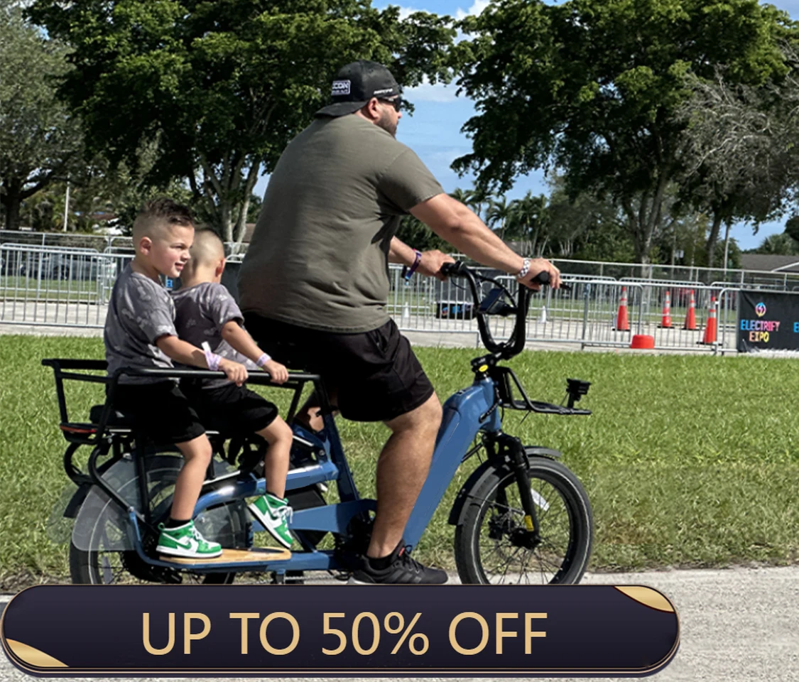 

STLF 2025 HOT Sale Cheap Cargo Electric Bicycle Wholesale Alloy Electric Cargo Bike 2 Wheels Family Cargo Ebike