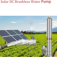 370W Solar Well Water Pump Flow Rate 4000L Per Hour Head Lift 29M Solar Irrigation Water Pump for Deep Well and Agriculture