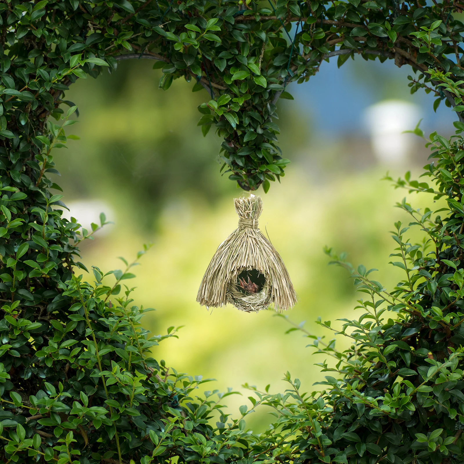 

Hanging Bird Nest Decorative Grass Houses Cages for Parakeets Nests Pocket Birds Breeding Shelter Weaving Eco Durable Solid Wood