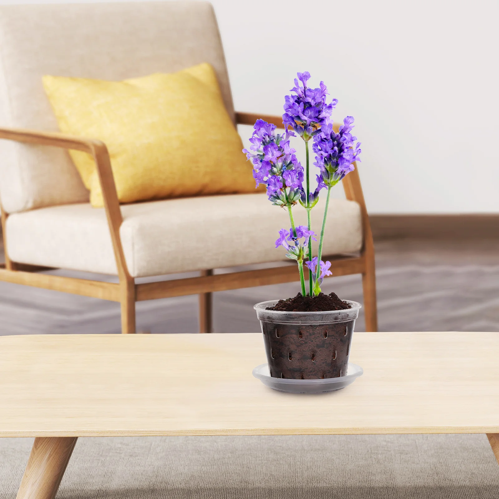 

3Pcs Plastic Clear Orchid Pots Drainage Holes Planters Nursery Gardening Flowerpots Saucers Clear Orchid Pots Orchids Flowerpot