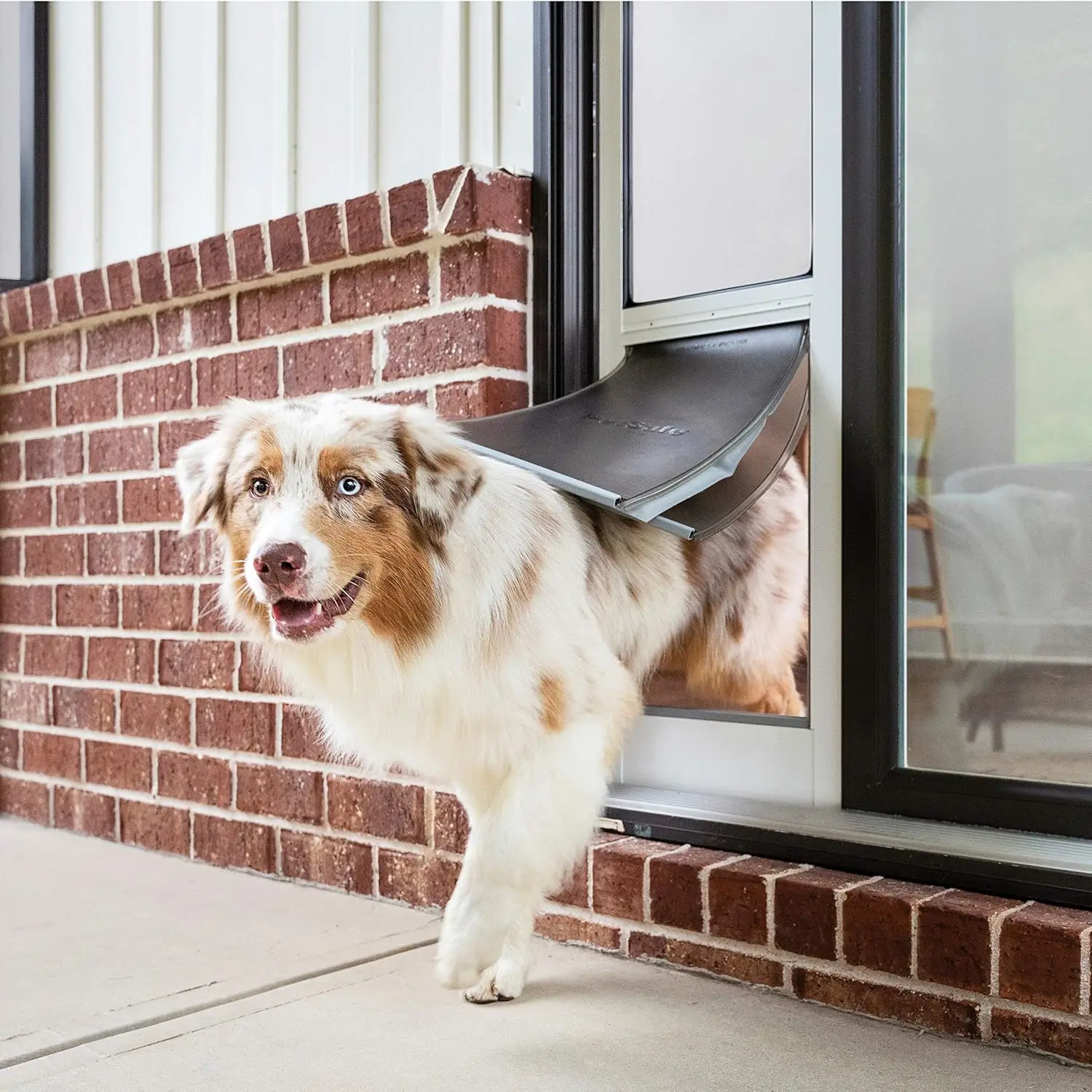 PetSafe-puerta corredera de vidrio para mascotas, accesorio para clima extremo, fácil de instalar, perfecto para casas y apartamentos de alquiler, altura ajustable