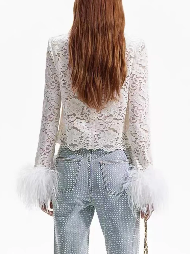 2024 Spring New Vintage Lace Hollow Out Blouse Women Fashion Embroidered Floral Feather Long-sleeved Short Shirt Tops Ladies