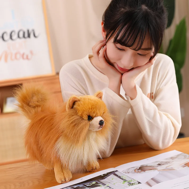 カワイイ-ぬいぐるみポメラニアン犬のぬいぐるみ,ぬいぐるみ,子供の