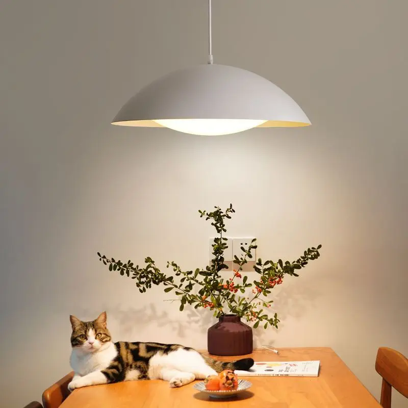 Modern  Led Lamp Pendant Light Suspension Chandelier for Bedroom Living Room  Home Decorative Fixture