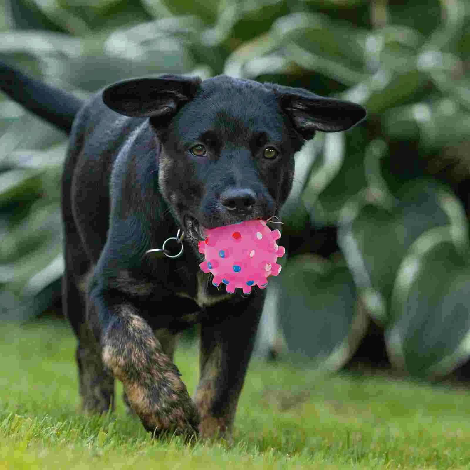 Cat Dog Pet Toys Colorful Chew  Ball Squeaker Quack Sound Toy (Random color) Beautiful Cat Toy Colorful Chew Ball