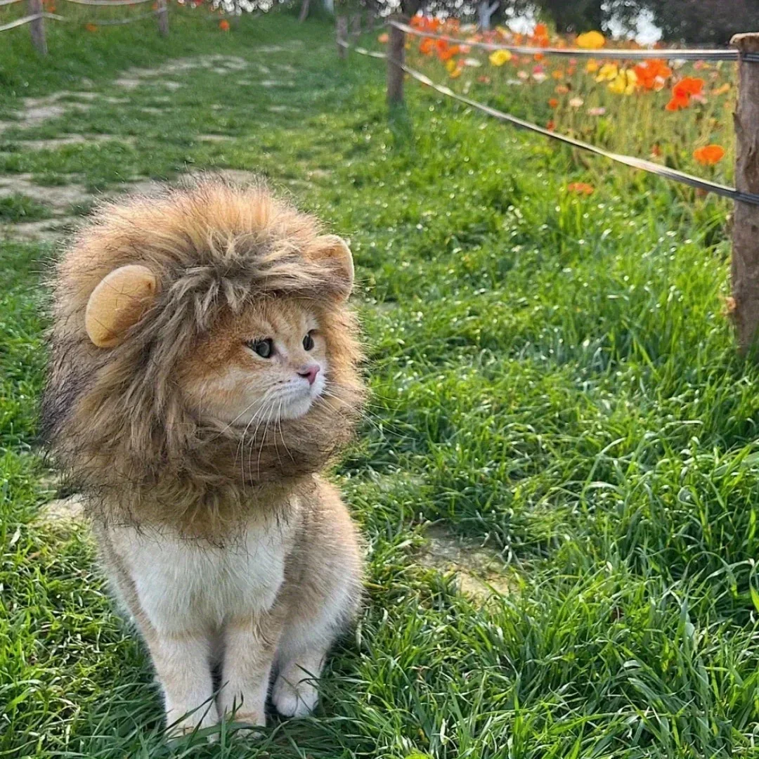 Adorable Lion Mane Costume for Cats - Durable, Comfy & Perfect for Parties, Photo Ops