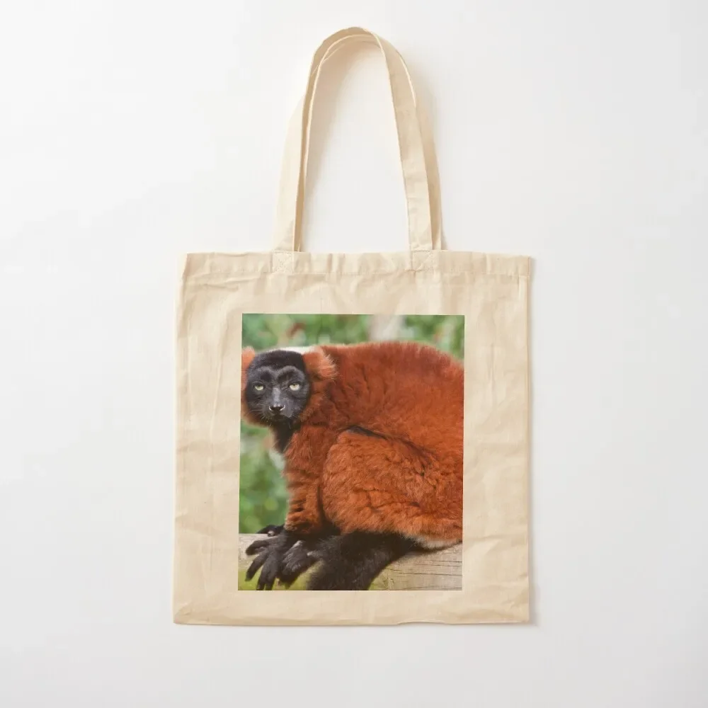 

Red Ruffed Lemur Varecia Rubra Tote Bag Gift bags ecological bags Tote Bag