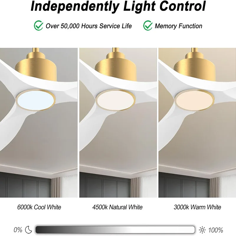 New Living Room Home Master Bedroom Ceiling Fan Light Study Remote Control Variable Frequency Fan Light Dining Room Silent