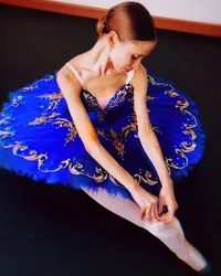 Ballet skirt dance dance costumes for women dress tulle skirt adult Ballet costumes