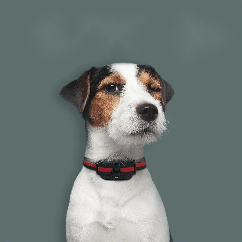 

Умный дистанционный ошейник для дрессировки собак, анти-склящий электронный шок, устройство для остановки лая домашних животных, регулируемый водонепроницаемый для маленьких и средних собак