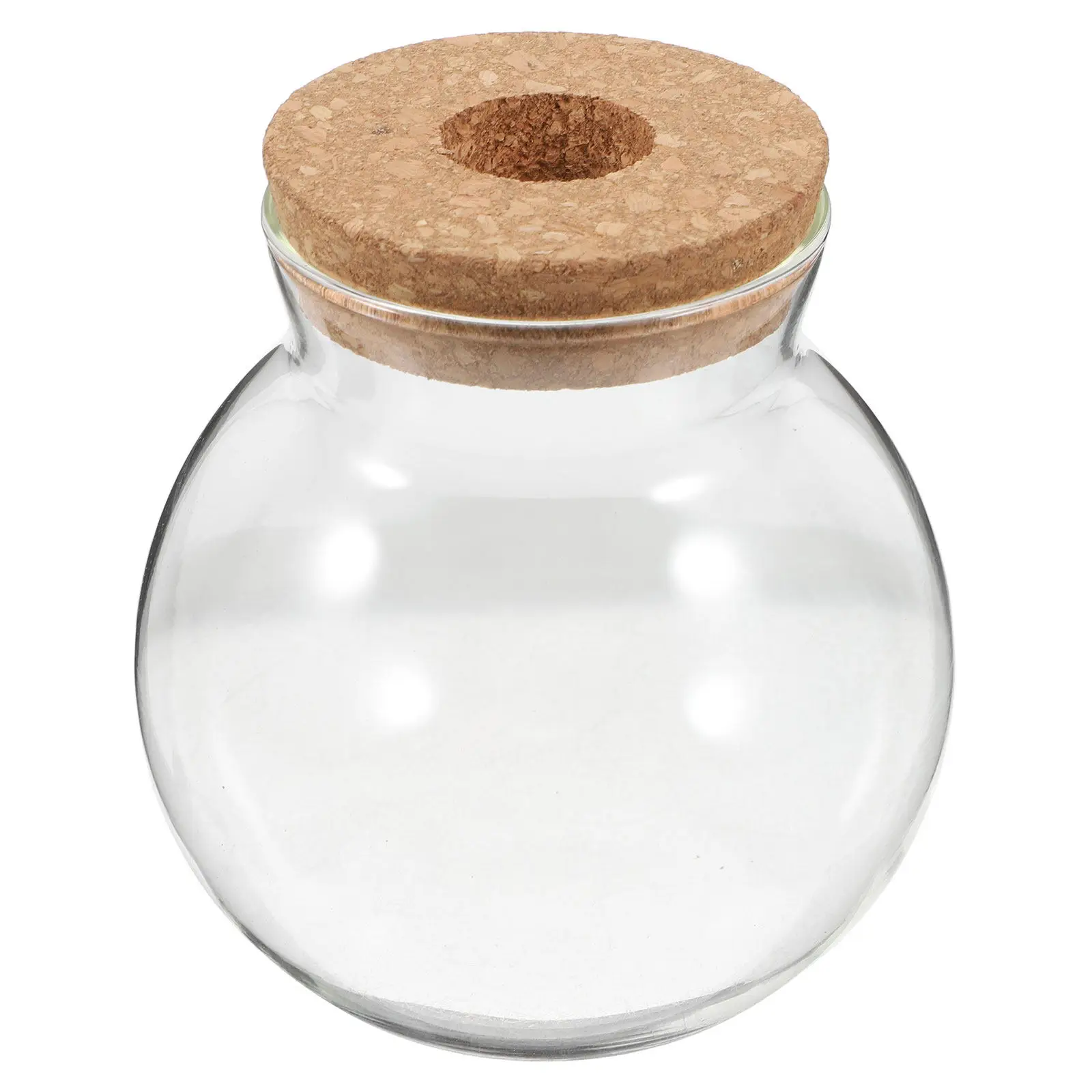 Micro-Landscape Glass Terrarium Bottle Clear Round Eco Container for Water Propagation Plant Vase Fish Bowl Home Office Desk