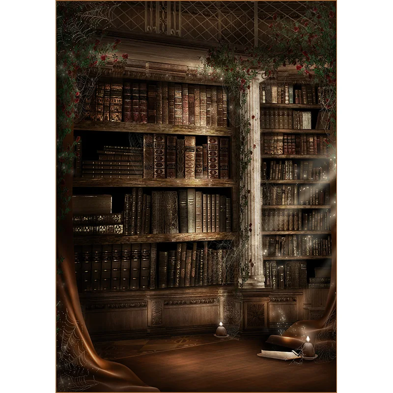 SHENGYONGBAO Goth Fairy Tale Old Palace Bookshelf Arch Window Baby Photography Backdrops Halloween Photo Backgrounds WSH-01