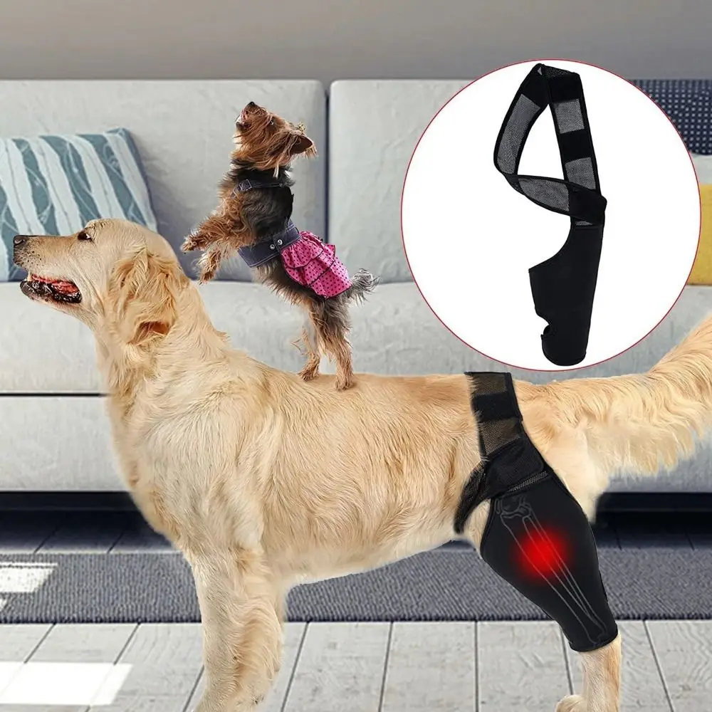 Cat Recovery Sleeve Leg Protector Dog Support Brace Pet Knee Pads Injury Recover Legs Wrap