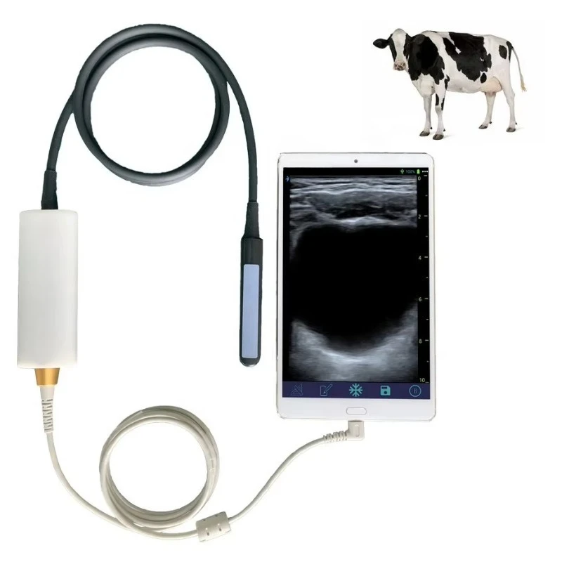 Portable USB Dairy Test Veterinary Ultrasound UL8-4T Rectal Linear Veterinary Ultrasound Price