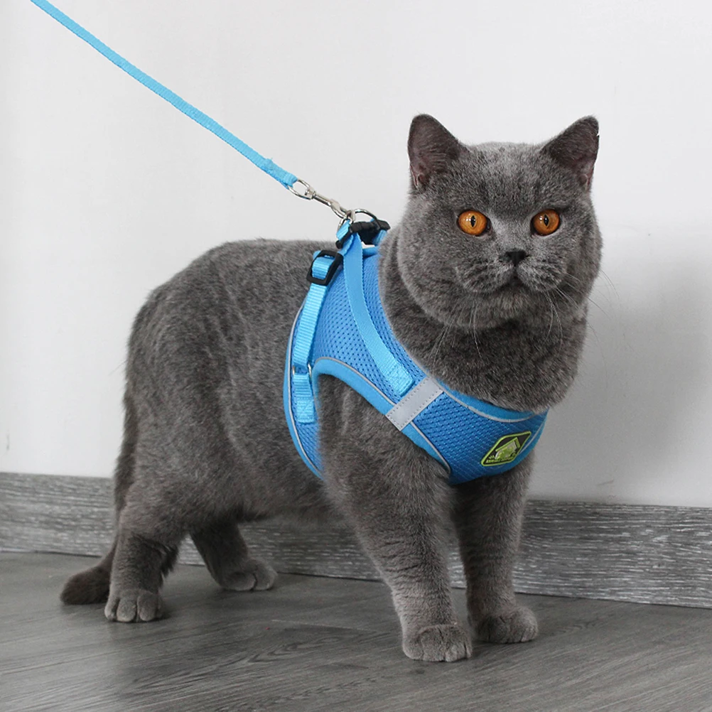 

Dog Vest and Leash Set Pet Harnesses Breathable Pet Pulling Strap Reflective Leash Outdoor Chest Straps Accessories (Blue, Size