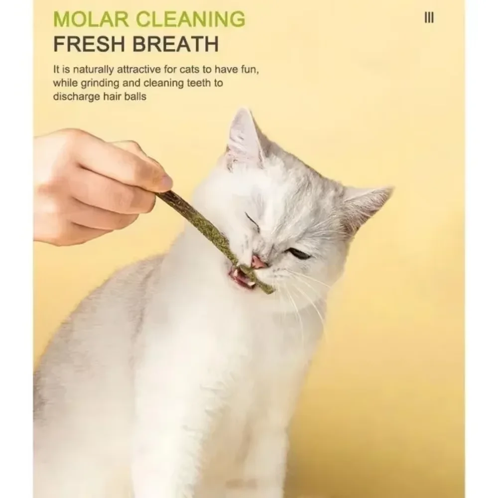 6 Stück Natürliche Matatabi-Katzensticks mit Minze, Beißspielezeug, Silvervine-Stäbe zur Zahnreinigung für Katzen, Leckerbissen, Haustierbedarf, Katzenspielzeug – Detail 4