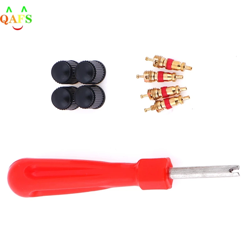 1 Set Tire Valve Service Kit 4 Valve Cores 4 Valve Caps 1 Valve Stem Screwdriver Tire Repair Tool for Car Motorcycle Bus Truck