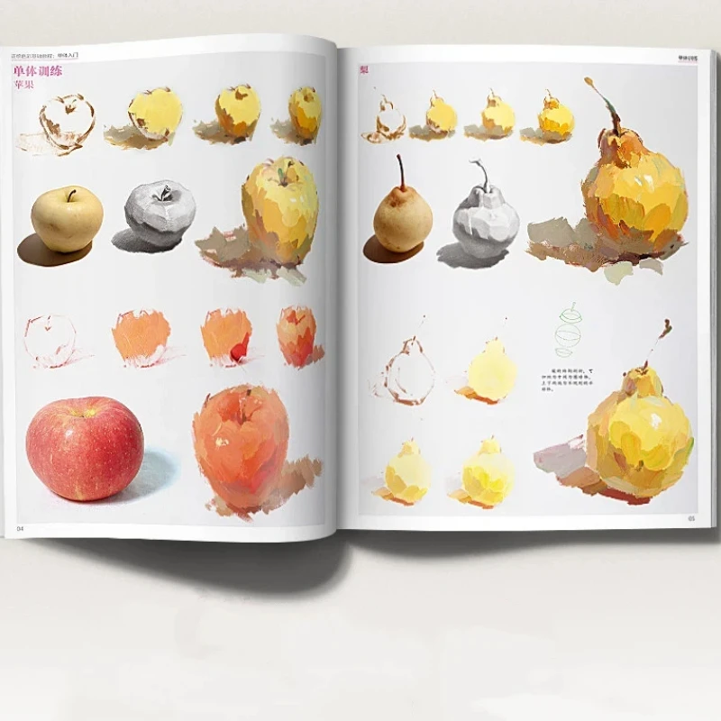 Watercolor Still Life Painting Basic Color Tutorial Book Introduction to Geometry Fruits for Beginners Zero Foundation Art Book