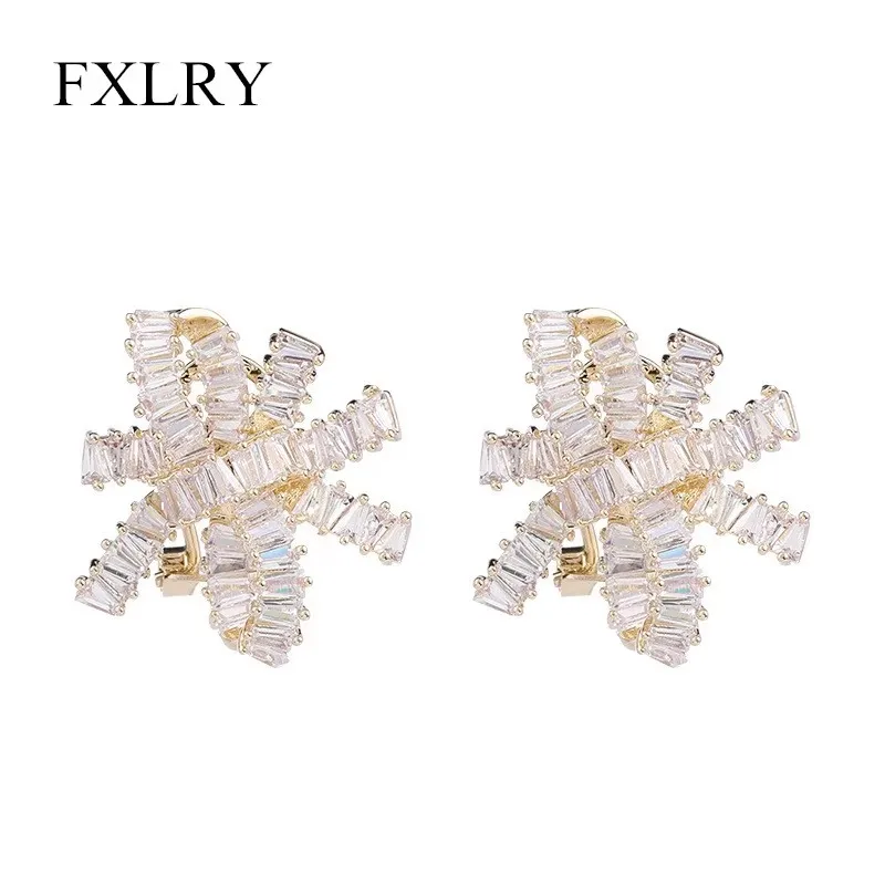 

FXLRY High Quality Full Cubic Zircon Setting Small Geometric Earrings for Women Jewelry Accessory