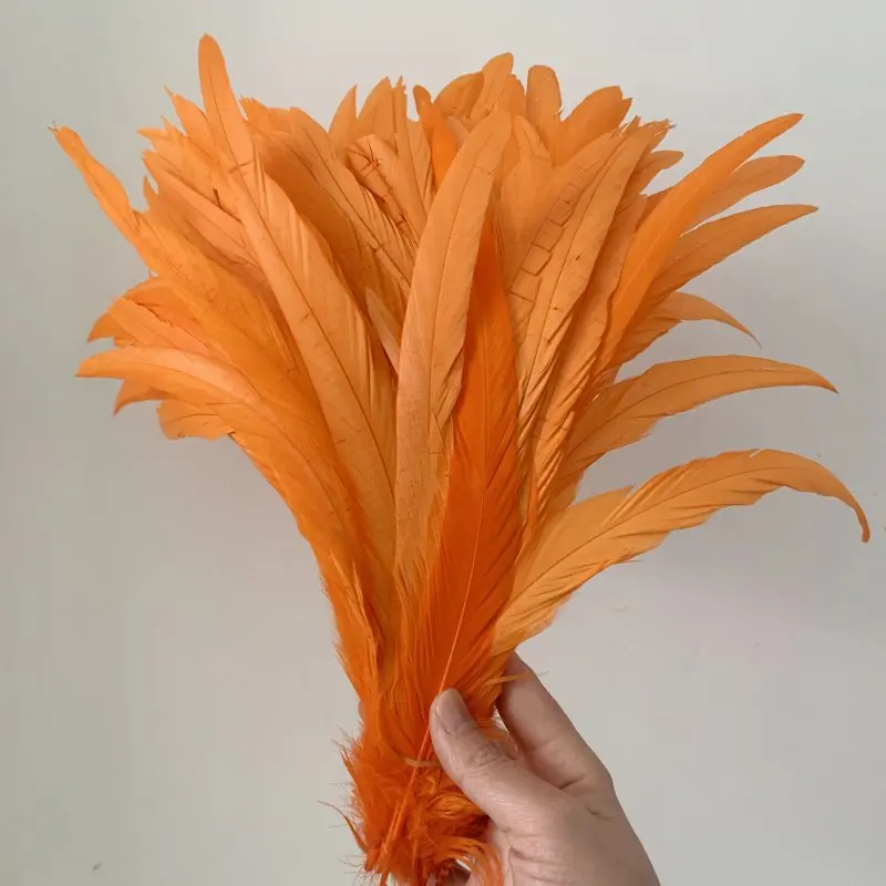 Hahnenschwanzfeder, 100 Stück, Rot, Schwarz, alle Größen, DIY-Feder, Kleidung, Schmuck, Accessoires, Hochzeitszubehör, Leistung erforderlich – Detail 12