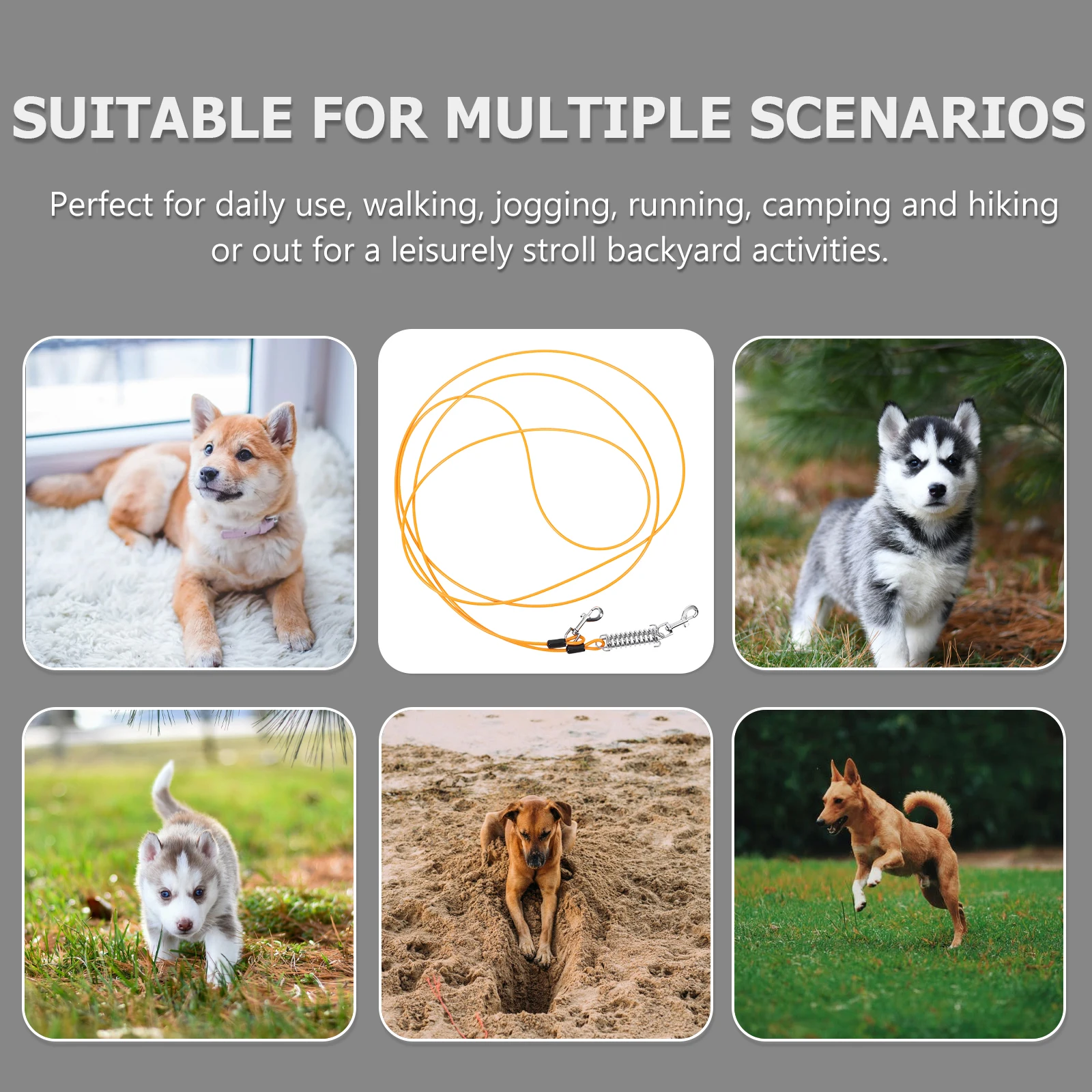 

Premium Pet Traction Rope Strong Dog Leash for Outdoor Walking Running Training Suitable All Sizes Dogs Tear Resistant Light