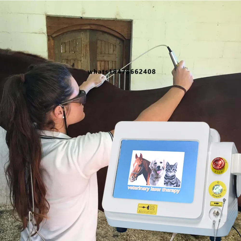 Triangel Veterinary Therapy Equipment Surgical Class IV Veterinary Therapy Instrument