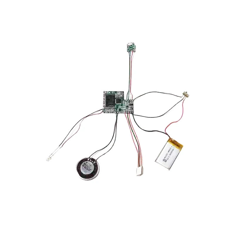 Chiński Chip muzyczny domowej roboty MP3 do kartka z życzeniami muzycznego