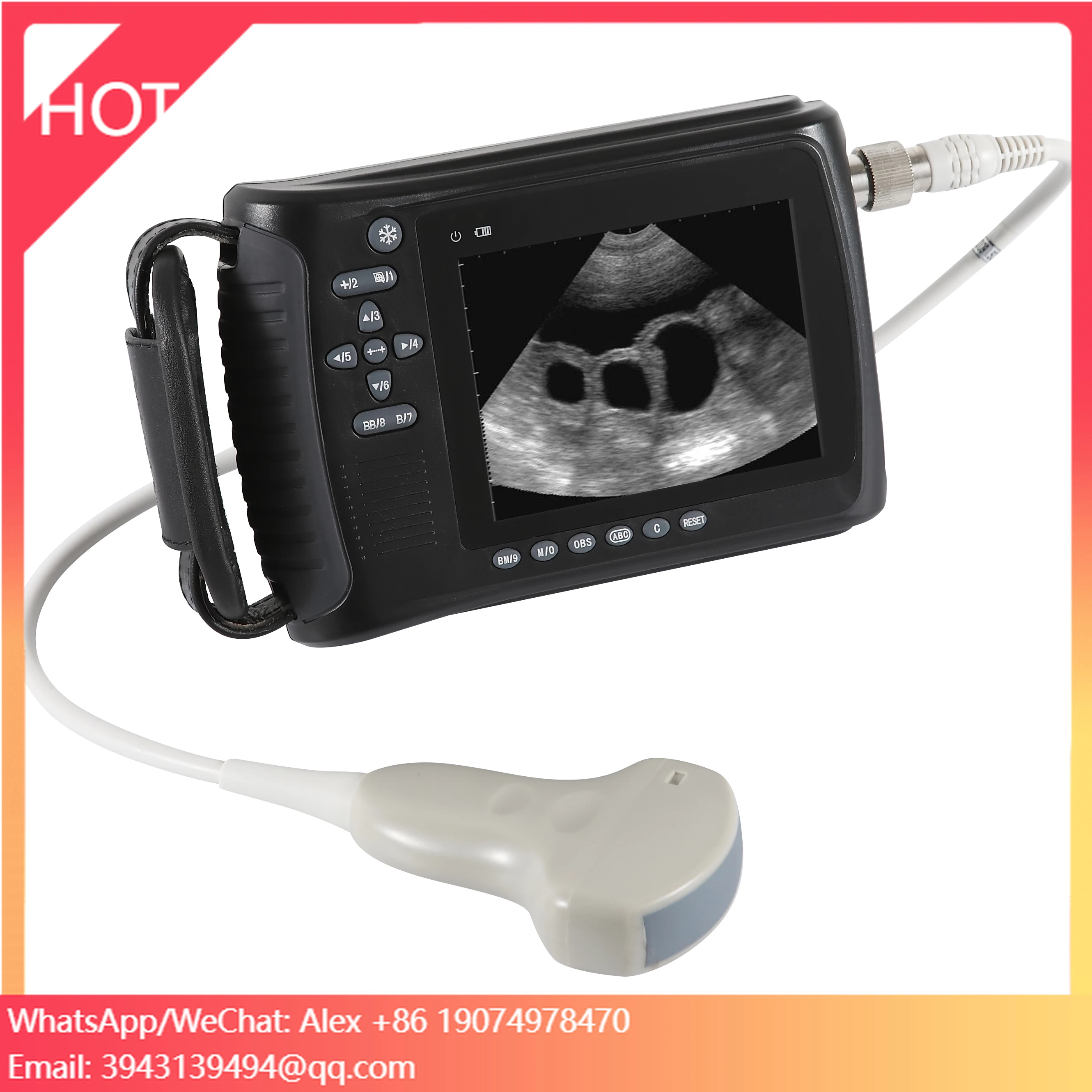 

Handheld Veterinary B&W Ultrasound Scanner Animal Pet Clinic Portable B/W Veterinary Ultrasound Machine
