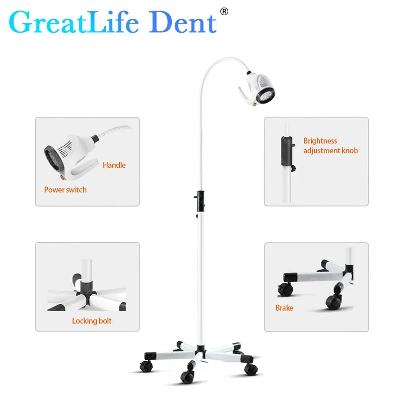 GreatLife Dent 21w 7 diod LED 50000 dożywotnia zimna bezcieniowa lampa operacyjna ruchomy stojak podłogowy stomatologiczne światło do badań