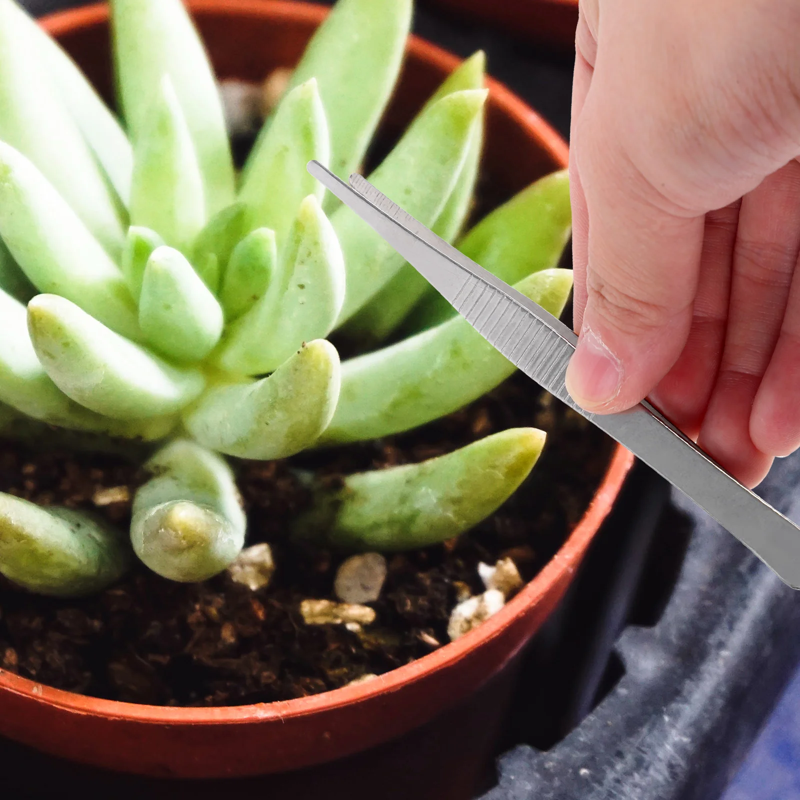 

4Pcs Stainless Steel Tweezers Smooth Garden Tweezers for Plant Care DIY Modeling Home Vegetable Garden Compact