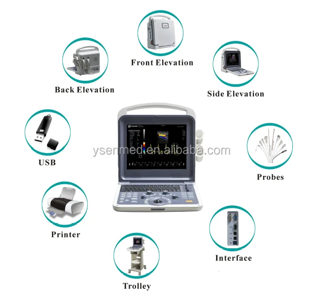 YSB-K2000V PET 4D Color Doppler sheep ultrasound scanning double probe ultrasound ultrasound machine pigs sheep dogs