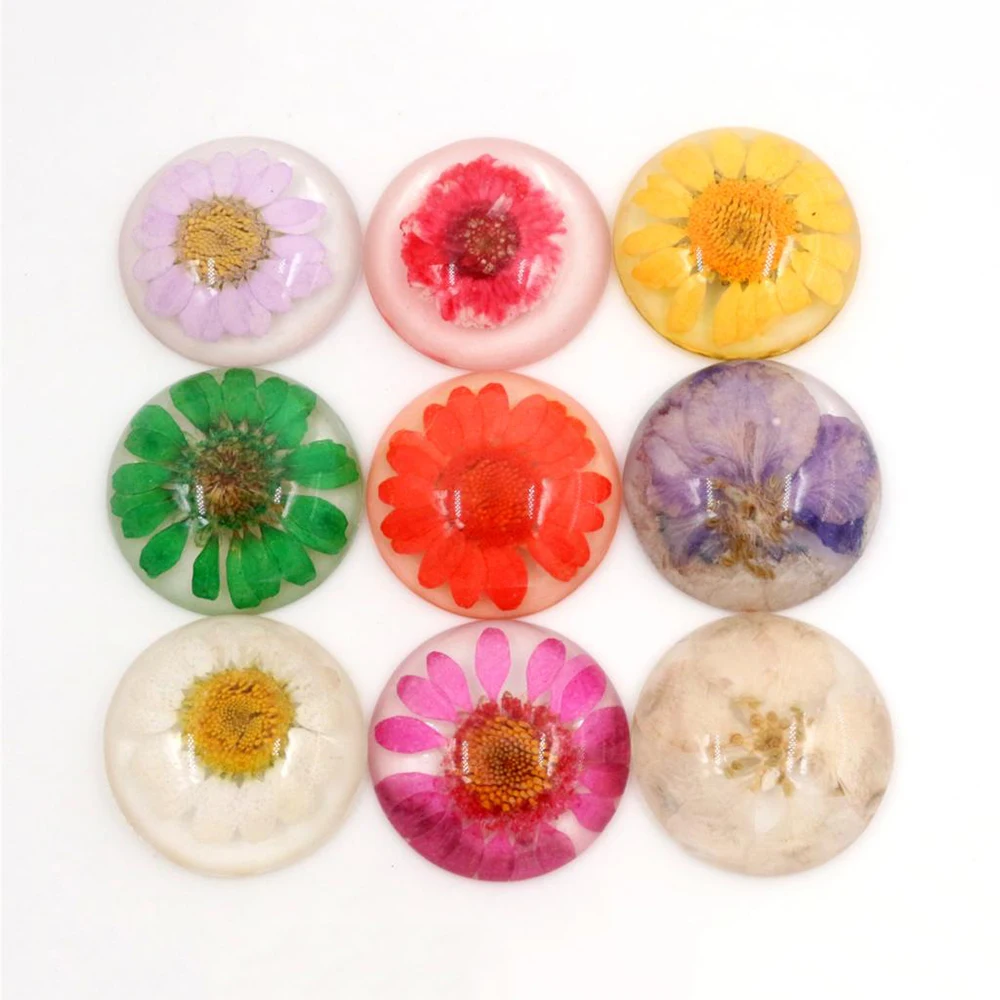 New Fashion 5pcs 25mm Mixed Color Natural Dried Flowers Flat Back Resin Cabochons Cameo  G3-26