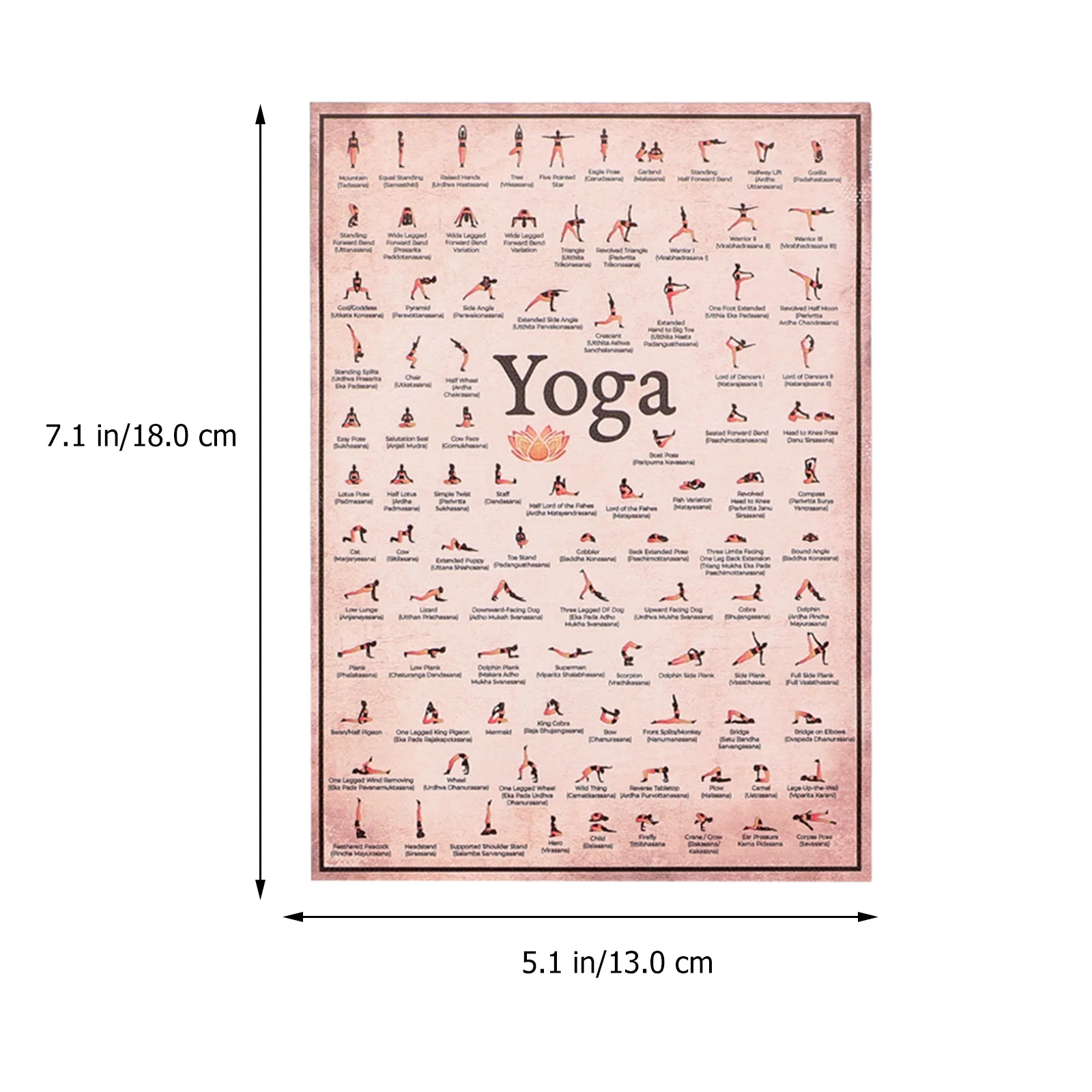 6 Pcs Yoga Poster Lifestyle Decoration Gym Posters Crafted Picture Decorative Wall Poses Canvas Wear-resistant