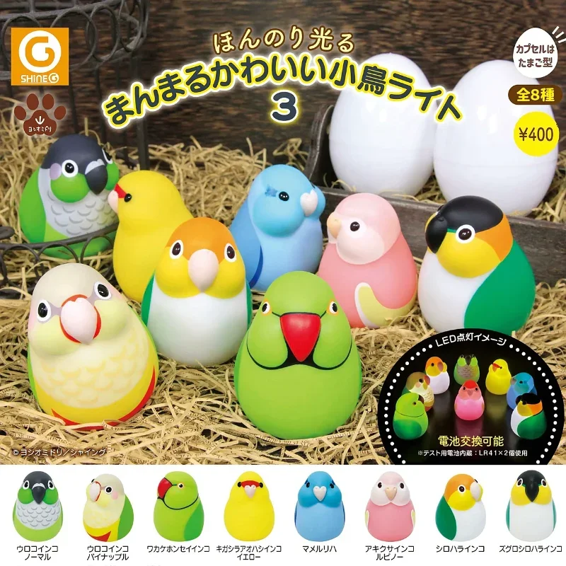 

SHINE-G Japan Gashapon Figure Cute Kawaii Pet Q Round Light Bird Parrot Figurine Anime Gachapon Capsule Toys Gift