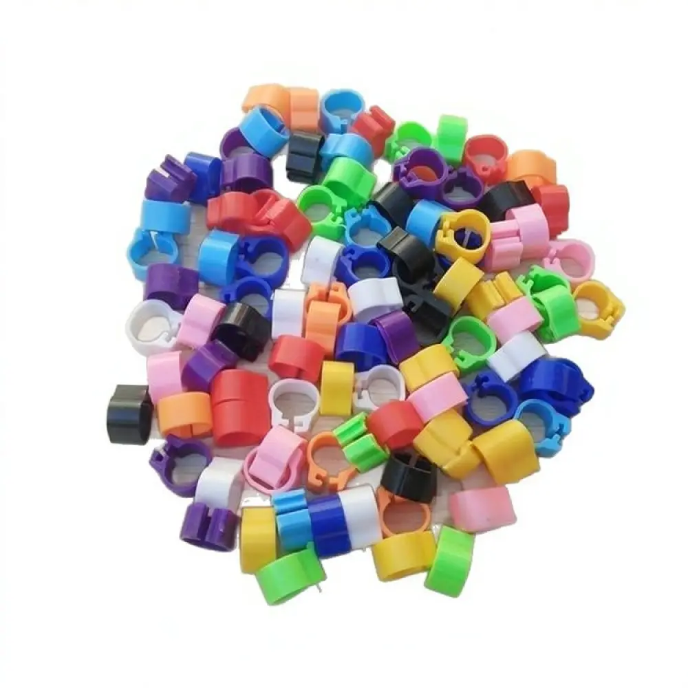 anneaux-d'identification-pour-pattes-de-pigeons-anneaux-en-plastique-pour-oiseaux-de-course-gestion-de-la-volaille-etiquettes-de-suivi-durables-outils