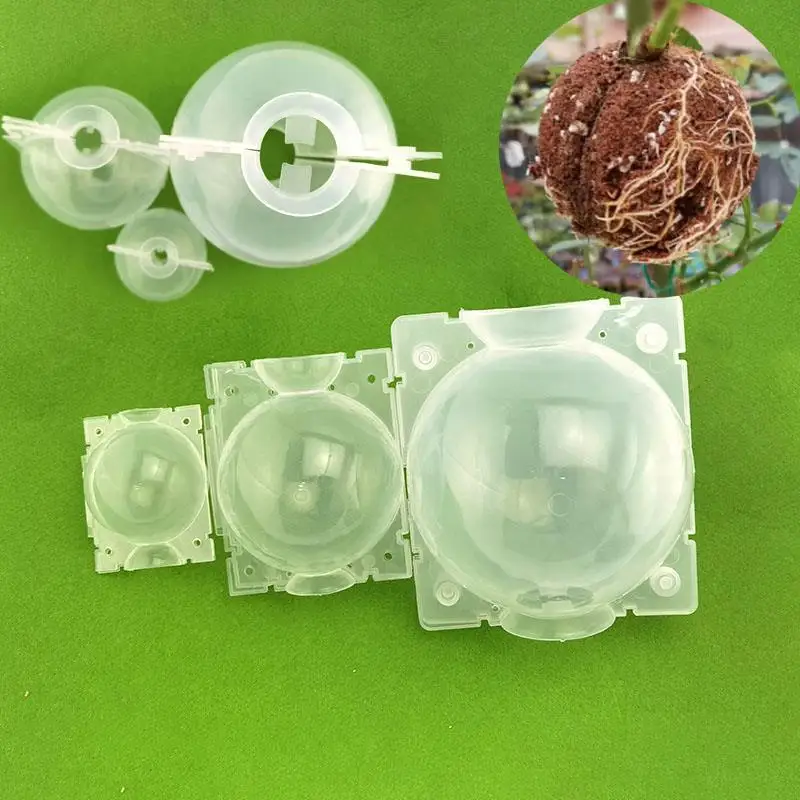 5cm 12cm High Pressure Propagation Plant Rooting Ball root grow box Graft Breeding growing Case Transparent Planting Nursery V27