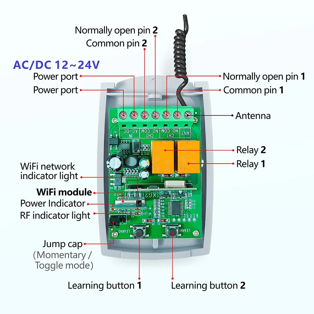 Diese Tuya Wifi RF porta scorrevole apriporta per Garage interruttore AC DC 12V 24V 2CH ricevitore funzionante con telecomando Rolling Code