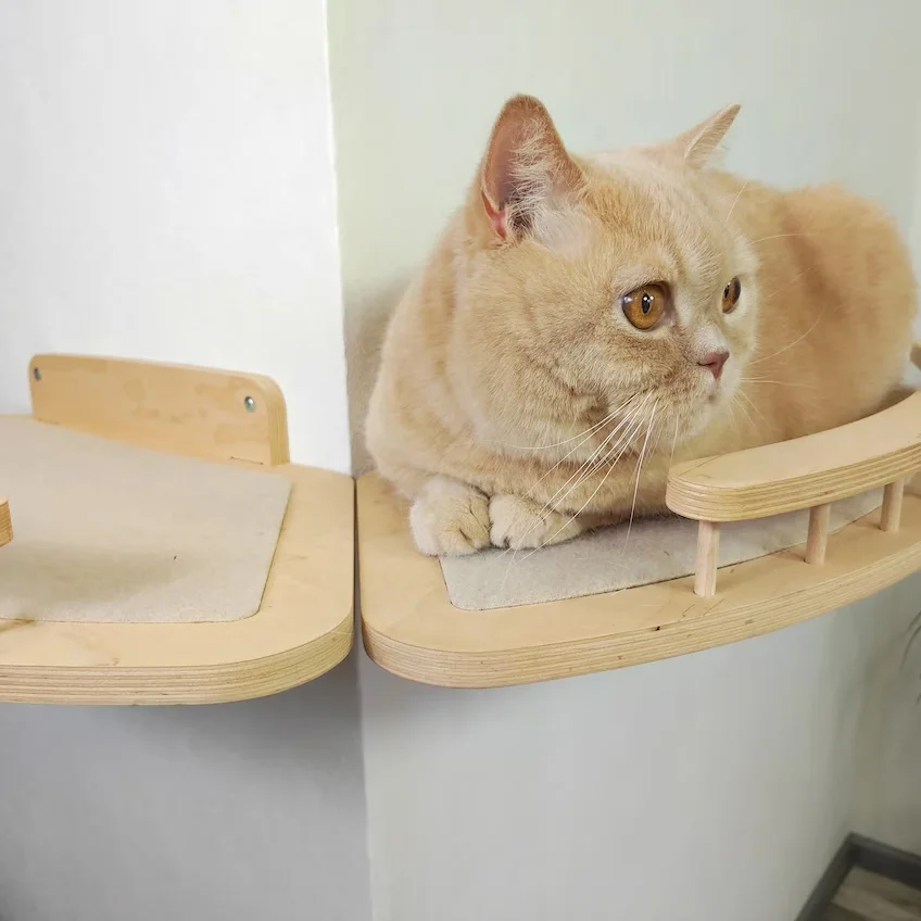 New Style Wall Floating Cat Hammock Shelf Cat Furniture With Mat For Cat Sleeping And Climbing