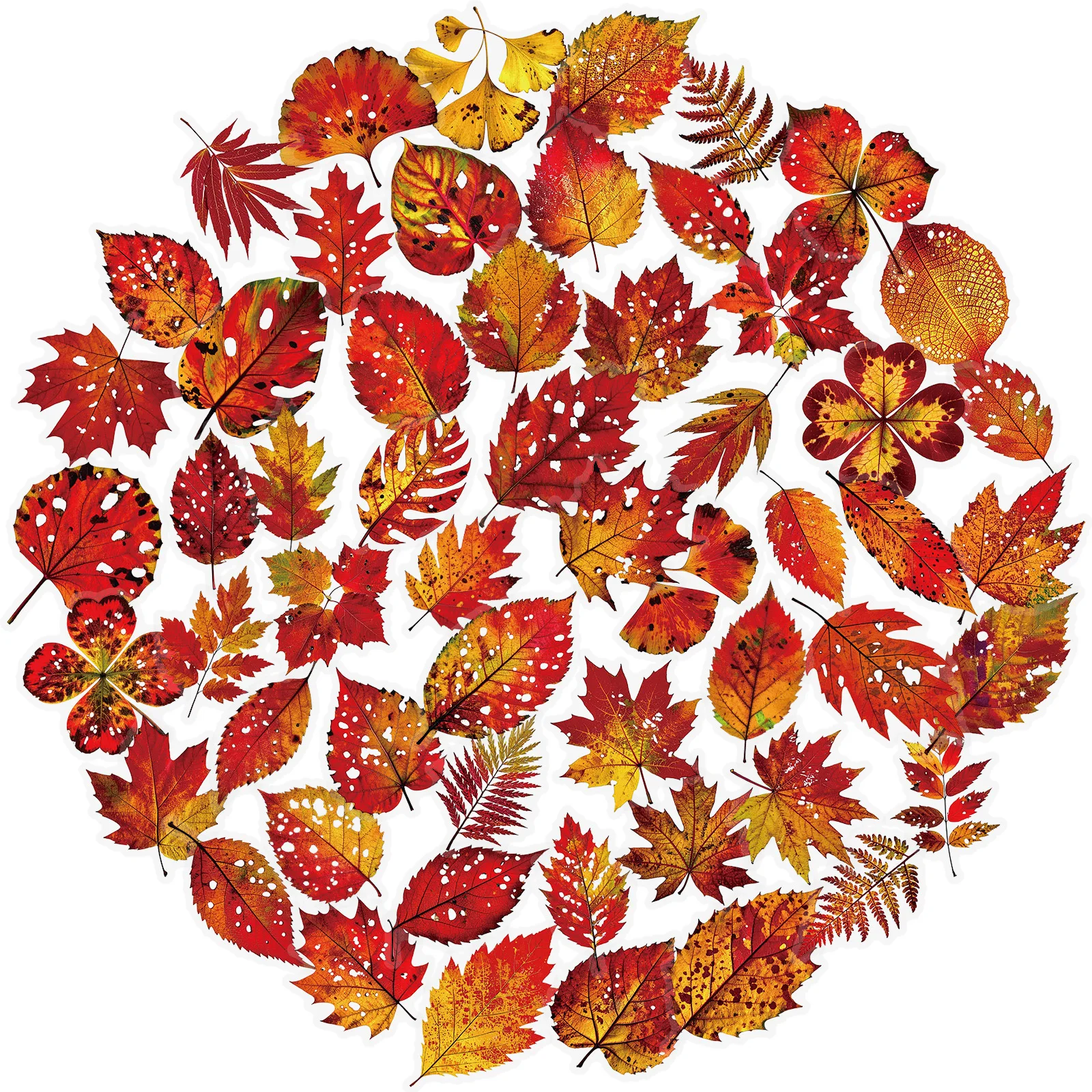 

10/56PCS Trendy Autumn Leaves Transparent PET Decals for Water Bottle Smartphone Laptop Notebook Stationery Luggage