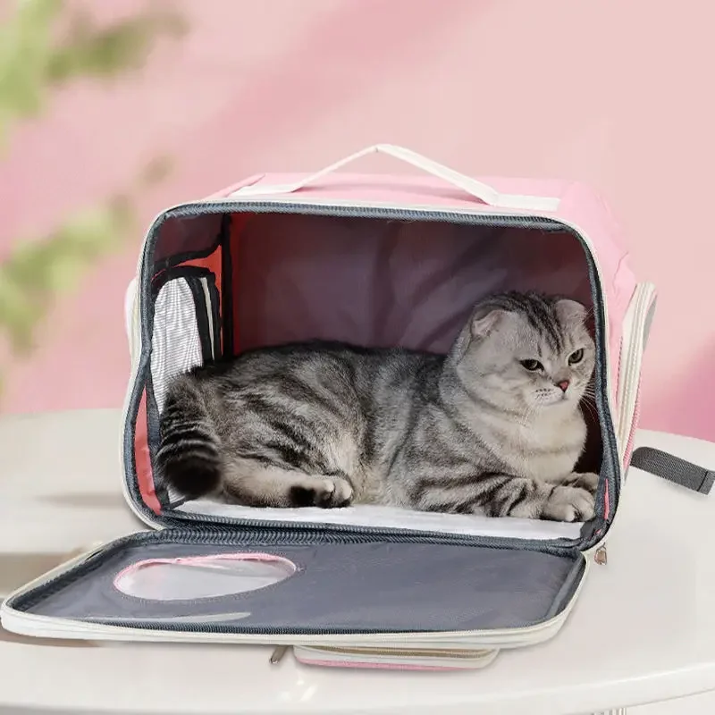 Dual-use Portable Cat Bag Folding Breathable Zipper Pocket Oxford Large Capacity Pet Carrier Backpack
