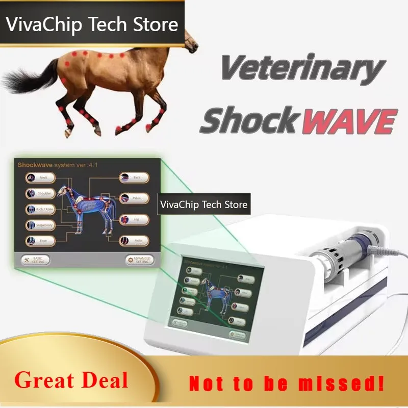 VivaCTPortable Veterinary Eswt For Horse Extracorporal Equine Shockwave Therapy Pain Rehabilitation Professional Racecourse Use
