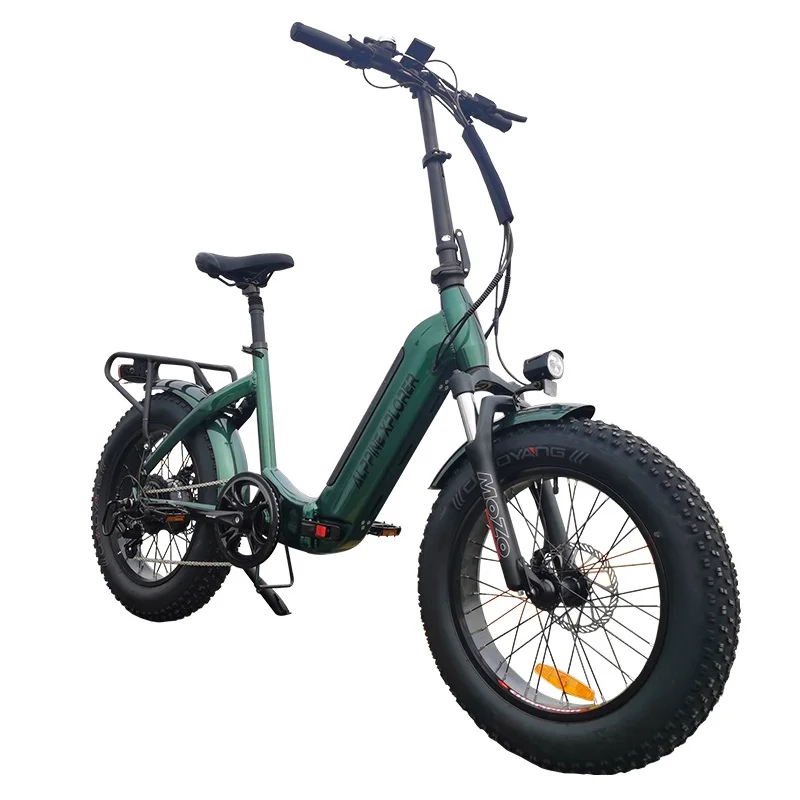 2024 Fashionable Style LCD Display Foldable Bike 36V 250W 350W Motor Electric Bicycle Disc Brake Fat Tire E Bike for Wholesale