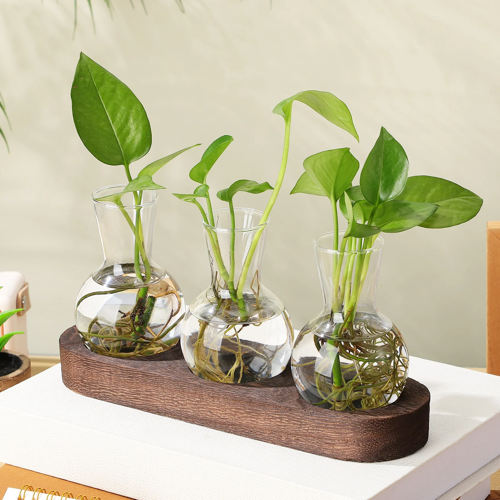 

1Set Hydroponic Glass Vase Clear Desktop Planter Propagation Station Table Centerpiece Office Decor Propagation Containers