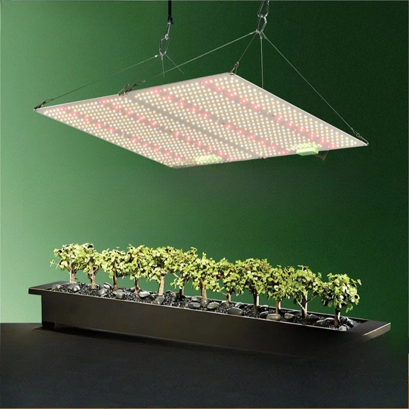 LED quantum board plant growth light, high PPFD dimmable indoor vegetable planting filling light