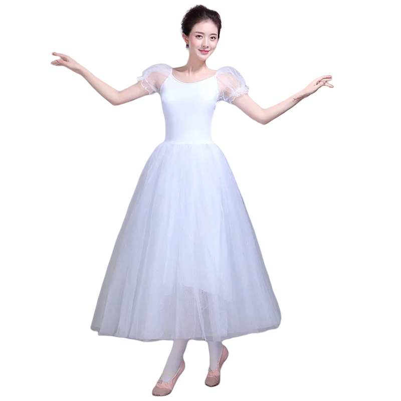 Professional Ballet For Women Adult Romantic Ballet Tutu Rehearsal Long Tulle Practice Skirt Ballet Dress For Girl Kids