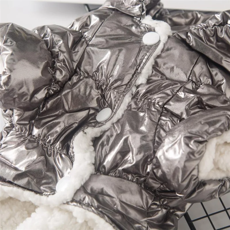 Btcl Winter Dog Clo… - image