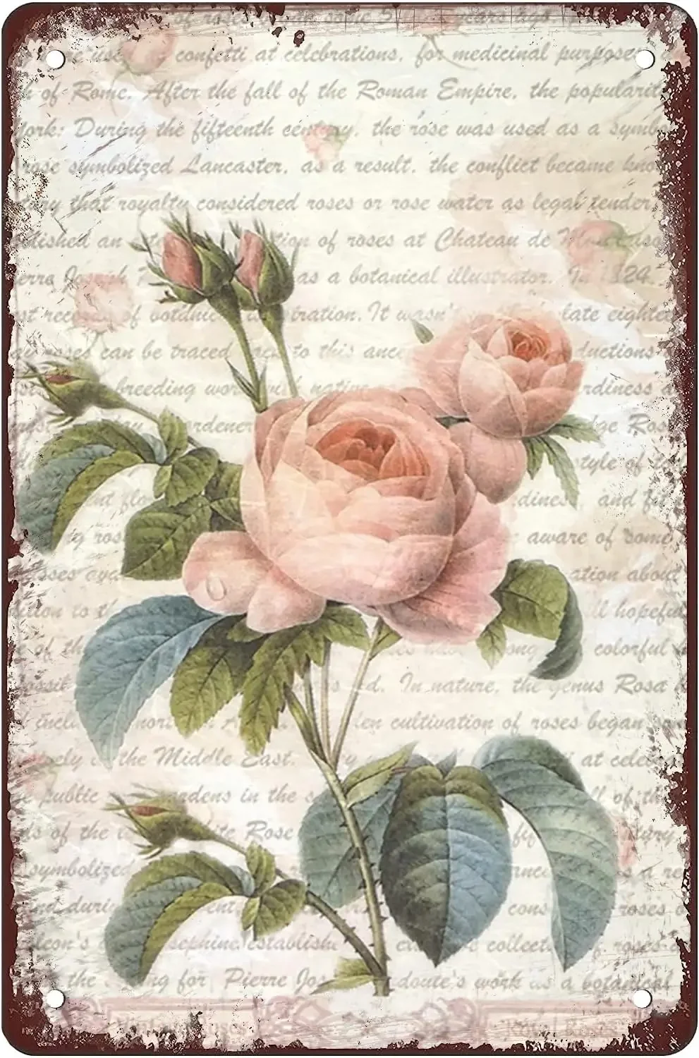 Big Vintage Rose Retro Metal Tin Sign Vintage Flowers Art Poster Print Floral Nature Plants Kitchen Garden Home Horticulture