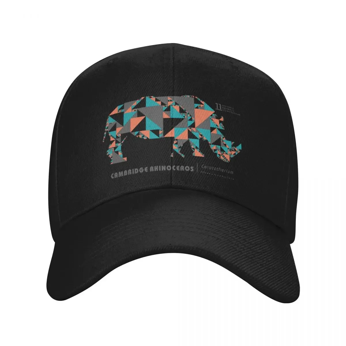 

Wittgenstein's Rhinoceros Baseball Cap Winter hat sun hat Women's Hats For The Sun Men's